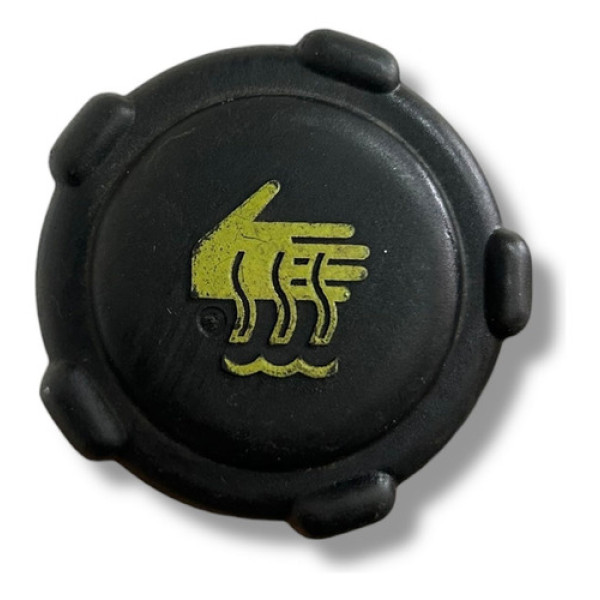 Tampa Reservatório Água Renault Duster 2014